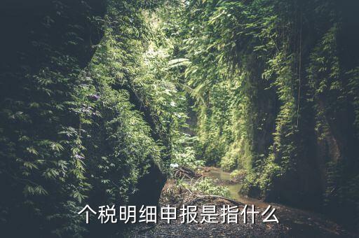 個稅明細申報是指什么