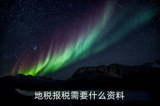 地稅報稅需要什么資料