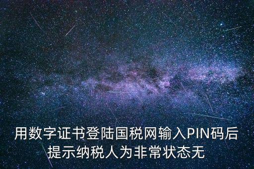 國稅pin碼是什么，機構(gòu)代碼的ca證書的PIN碼是什么我用CA證書登陸國稅時提示詳細