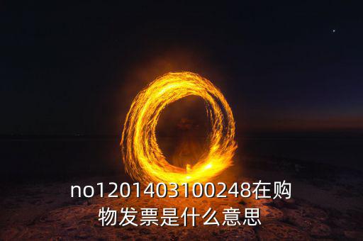 湖南發(fā)票號(hào)碼是什么意思，發(fā)票參考號(hào)是什么意思