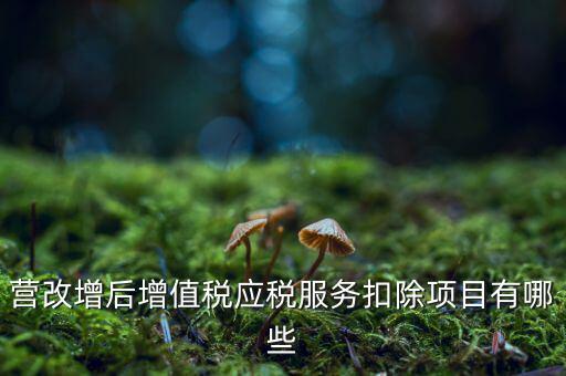 營改增后增值稅應稅服務(wù)扣除項目有哪些