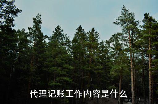 代理記賬工作內(nèi)容是什么