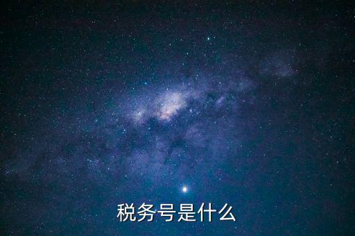 什么是稅務(wù)登記號，稅務(wù)號是什么