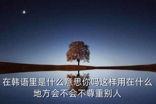 在韓語里是什么意思你嗎這樣用在什么地方會(huì)不會(huì)不尊重別人