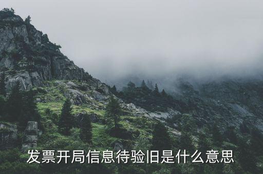 什么叫驗舊發(fā)票，發(fā)票驗舊是什么意思