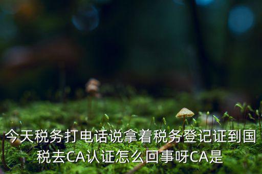 稅務(wù)局ca證書是什么，今天稅務(wù)打電話說拿著稅務(wù)登記證到國稅去CA認(rèn)證怎么回事呀CA是