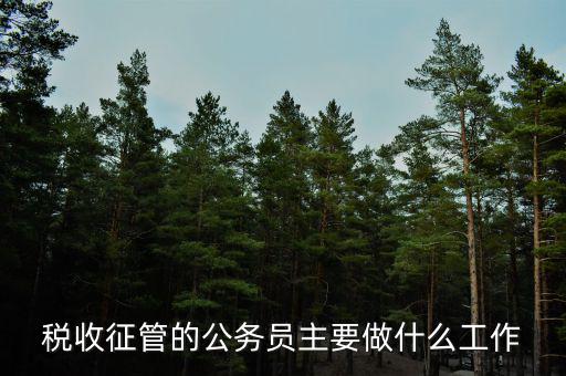 稅收管理員干什么的，稅收征管的公務(wù)員主要做什么工作