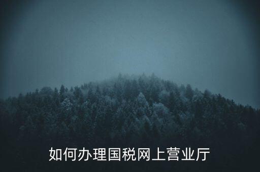 如何辦理國稅網(wǎng)上營業(yè)廳