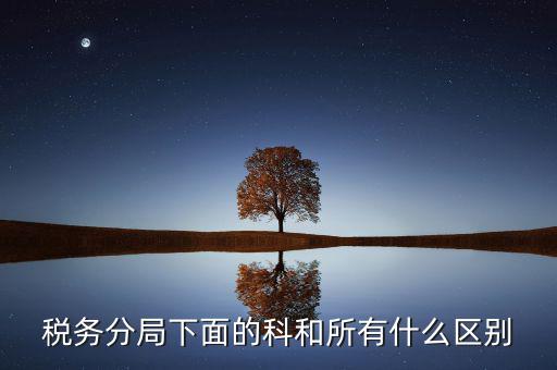 稅務分局下面的科和所有什么區(qū)別