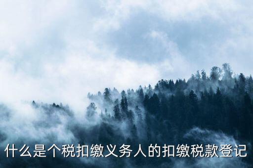 什么是個稅扣繳義務(wù)人的扣繳稅款登記