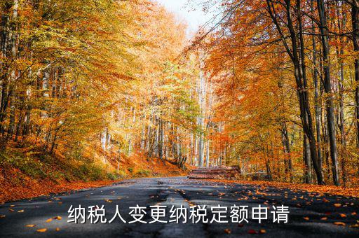 變更納稅定額什么意思，調(diào)整應(yīng)納稅所得額什么意思