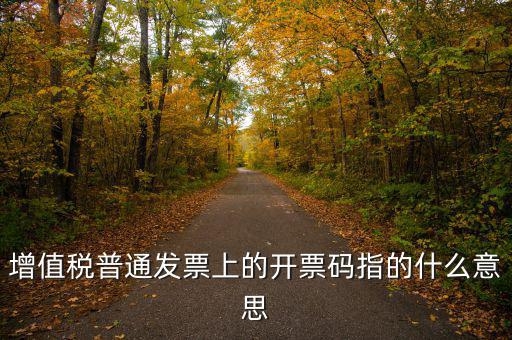 什么是發(fā)票信息碼，增值稅普通發(fā)票上的開票碼指的什么意思