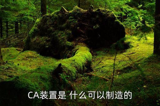 ca控件是什么，CA裝置是 什么可以制造的