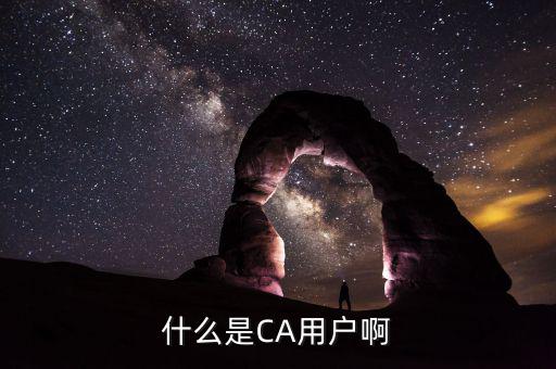 ca證書用戶是什么意思，什么是CA用戶啊