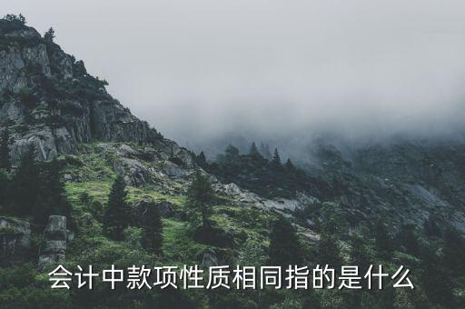 會(huì)計(jì)中款項(xiàng)性質(zhì)相同指的是什么