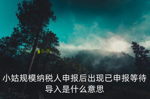 小姑規(guī)模納稅人申報(bào)后出現(xiàn)已申報(bào)等待導(dǎo)入是什么意思