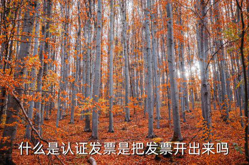 什么是認(rèn)證發(fā)票是把發(fā)票開出來嗎