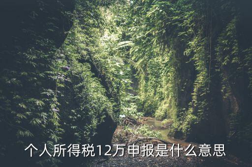 個人所得稅12萬申報是什么意思