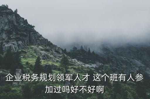 稅務(wù)領(lǐng)軍人才做什么，常溫下超導(dǎo)體可用來(lái)做什么