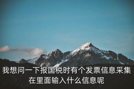 我想問一下報國稅時有個發(fā)票信息采集在里面輸入什么信息呢