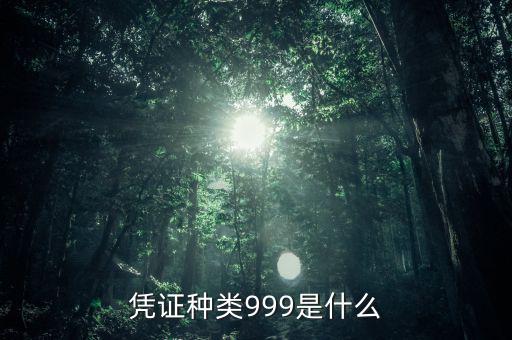 憑證種類(lèi)999是什么