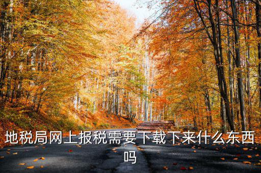 辦地稅都需要什么軟件，地稅網(wǎng)上申報(bào)軟件