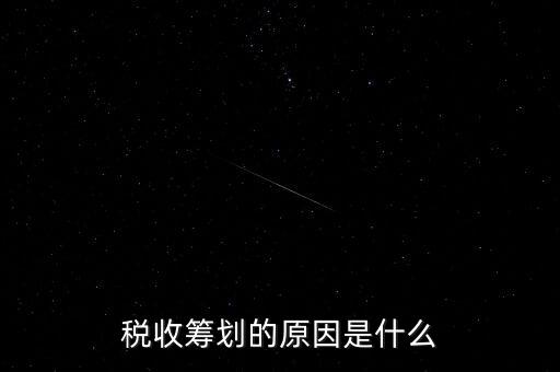 稅收籌劃的原因是什么