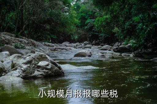 小規(guī)模納稅人季報什么，公司是小規(guī)模納稅人月報和季報時國稅和地稅各需報什么  搜