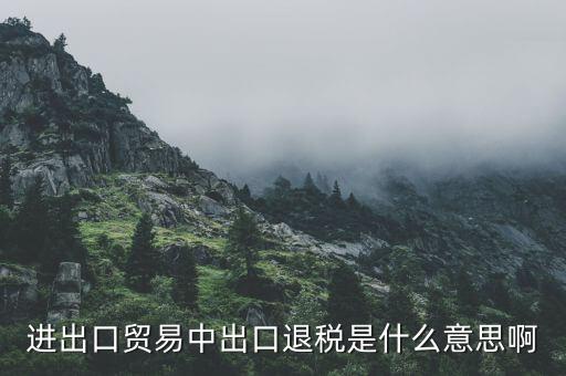 什么是增值稅出口退稅，出口退稅指的是什么