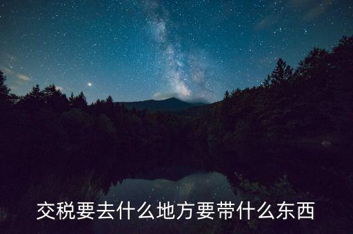 交稅要去什么地方要帶什么東西