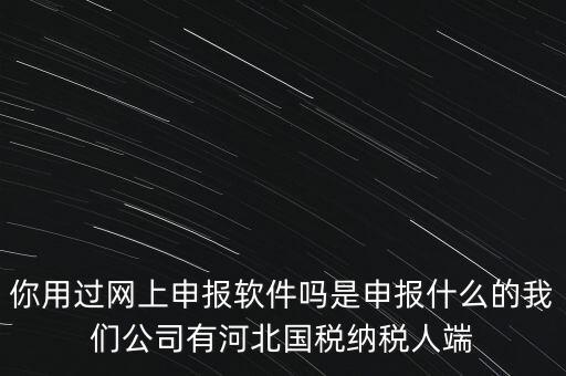 你用過網(wǎng)上申報(bào)軟件嗎是申報(bào)什么的我們公司有河北國稅納稅人端