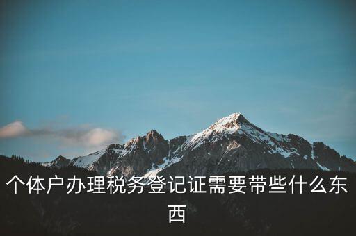 個(gè)體稅務(wù)登記證需要什么材料，個(gè)體戶(hù)辦理稅務(wù)登記證需要帶些什么東西