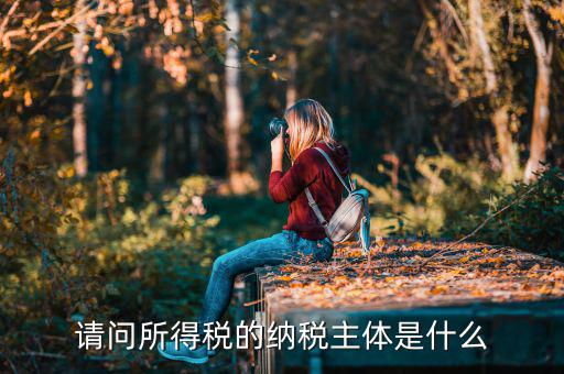 請(qǐng)問(wèn)所得稅的納稅主體是什么