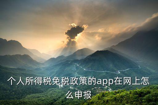 個人所得稅免稅政策的app在網(wǎng)上怎么申報