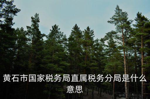 黃石市國家稅務(wù)局直屬稅務(wù)分局是什么意思