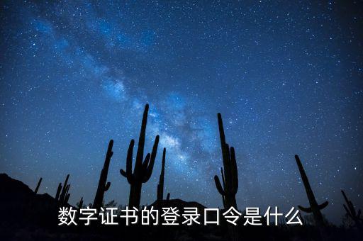 數(shù)字證書的登錄口令是什么