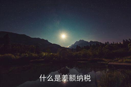 什么是差額納稅