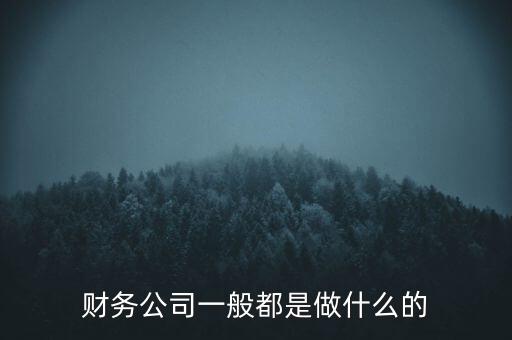 財務公司一般都是做什么的