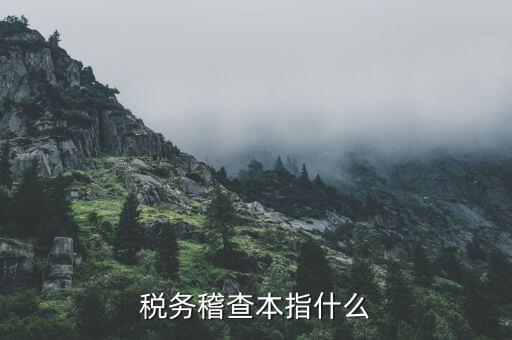 什么叫稅務(wù)稽查檢查科臺帳范本，稅務(wù)稽查本指什么