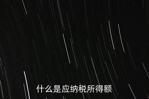 什么是年應(yīng)納稅所得額，什么是應(yīng)納稅所得額