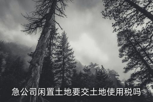 開發(fā)的土地閑置需繳什么稅，急公司閑置土地要交土地使用稅嗎