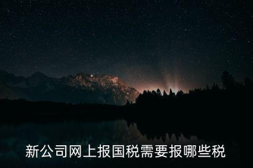 新公司網(wǎng)上報(bào)國(guó)稅需要報(bào)哪些稅