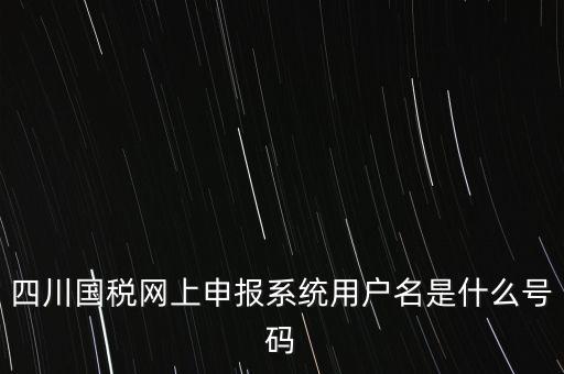 四川省地方稅務局登錄賬號是什么，在網(wǎng)上報稅登陸時用戶名是什么