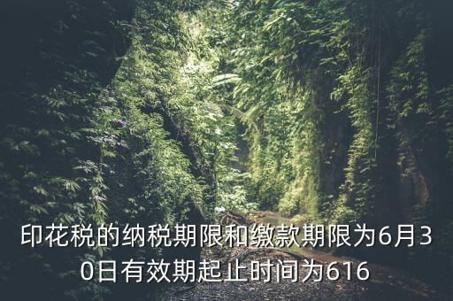 繳款期限什么意思，滯納金是什么意思