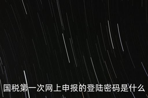 國稅的登錄密碼是什么，國稅第一次網(wǎng)上申報的登陸密碼是什么