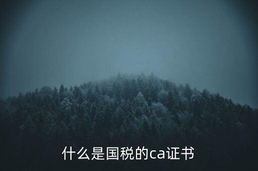 什么是國(guó)稅的ca證書(shū)