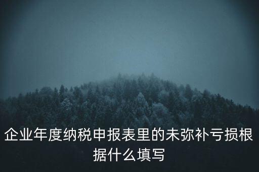 企業(yè)年度納稅申報(bào)表里的未彌補(bǔ)虧損根據(jù)什么填寫