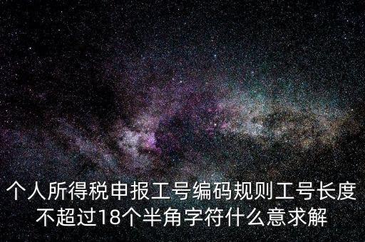 個人所得稅申報工號編碼規(guī)則工號長度不超過18個半角字符什么意求解