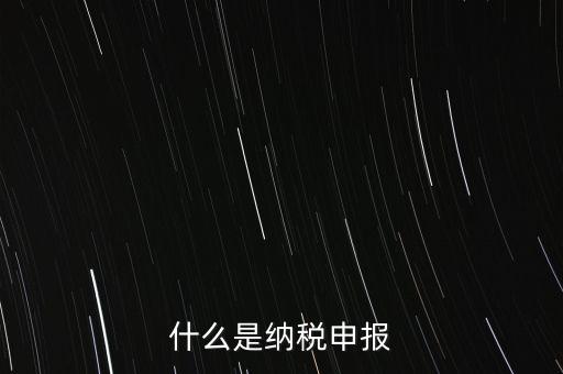 什么是納稅申報