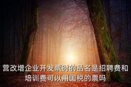 營(yíng)改增企業(yè)開發(fā)票時(shí)的品名是招聘費(fèi)和培訓(xùn)費(fèi)可以用國(guó)稅的票嗎